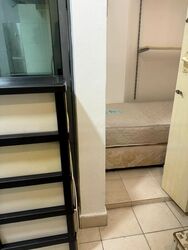Paradise Palms (D15), Apartment #502906861